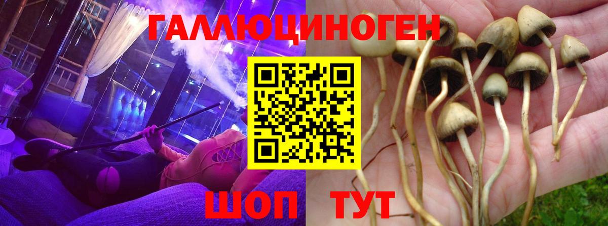 Псилоцибиновые грибы GOLDEN TEACHER Скопин